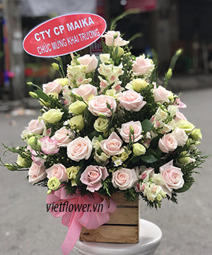 Hộp hoa hồng VFH008